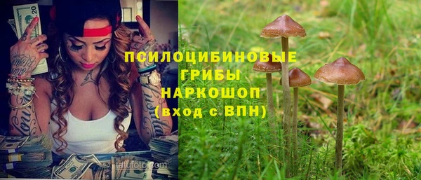 spice Алексеевка